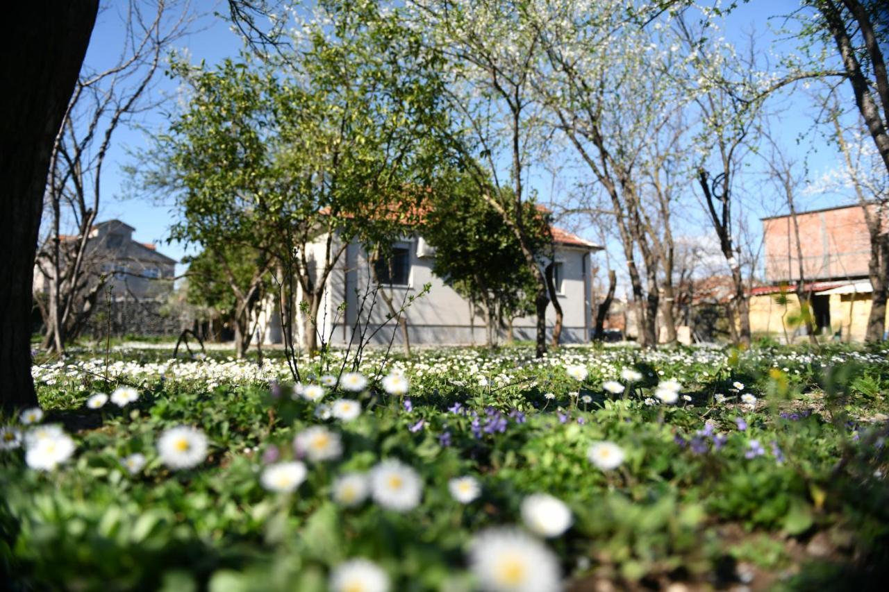 Nicolaus Hidden Gem Villa Shkoder Exterior photo
